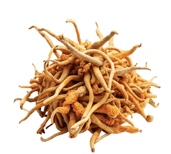 Vitrafoxin ingredients