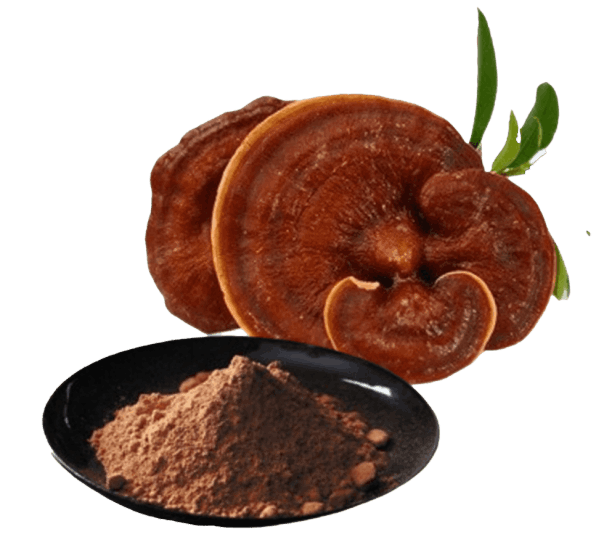 Vitrafoxin ingredients