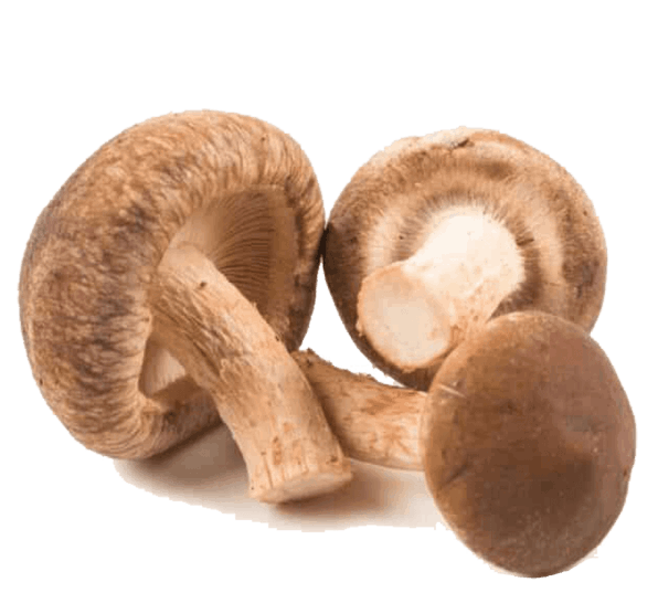 Vitrafoxin ingredients